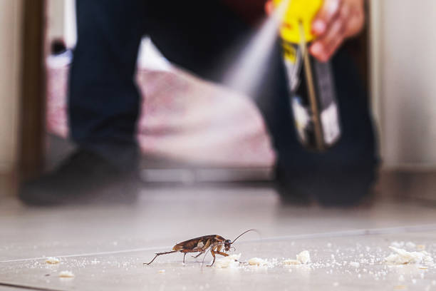 Trusted Liberty Hill, TX Pest Control Experts